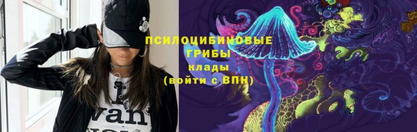 jwh Белокуриха